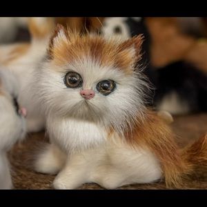 Meet your Posher, Ward